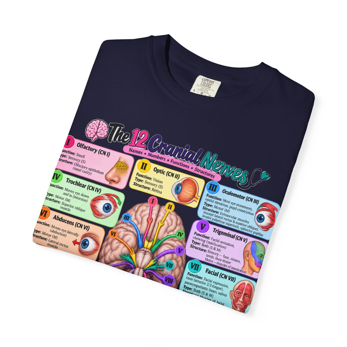 Unisex 12 Cranial Nerves