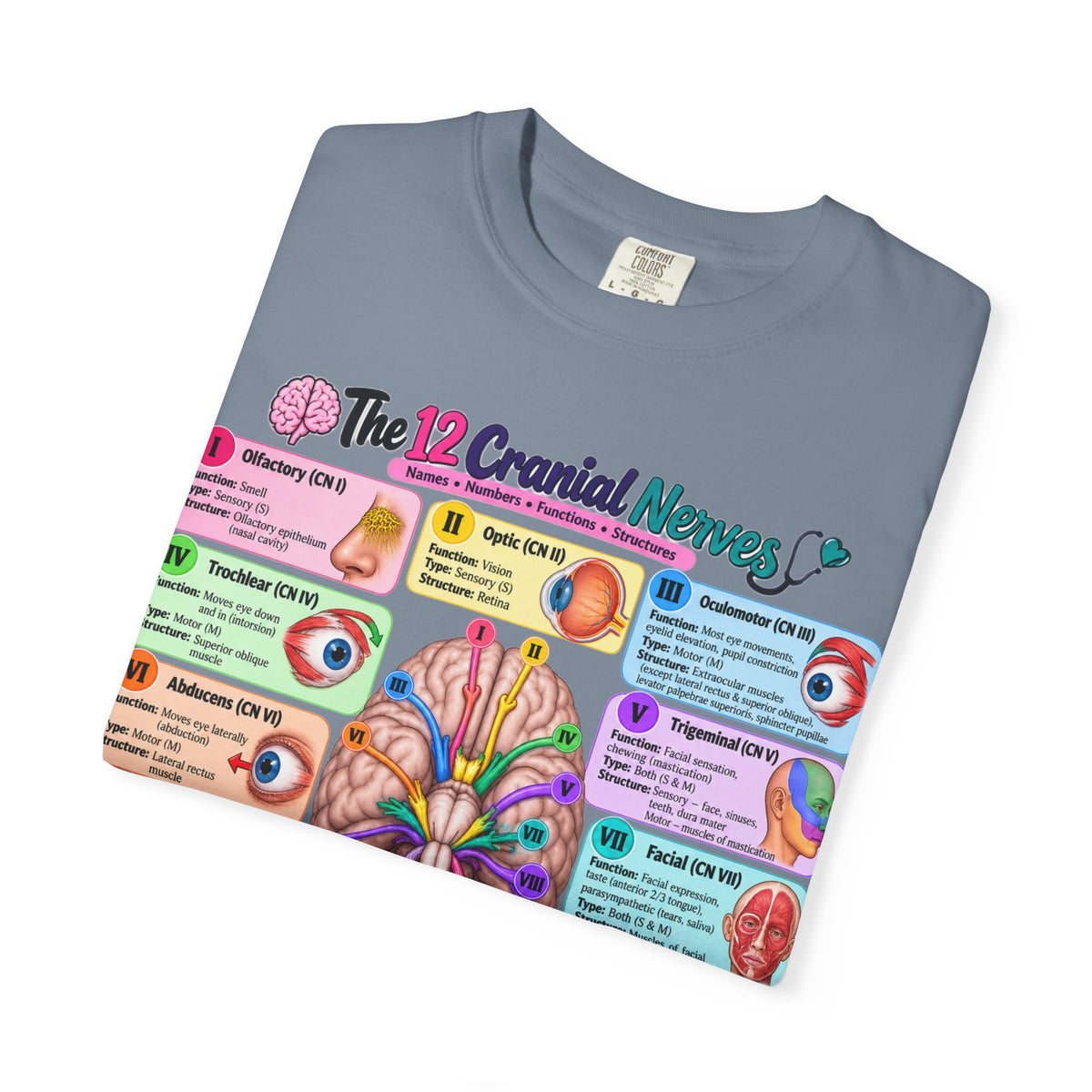 Unisex 12 Cranial Nerves
