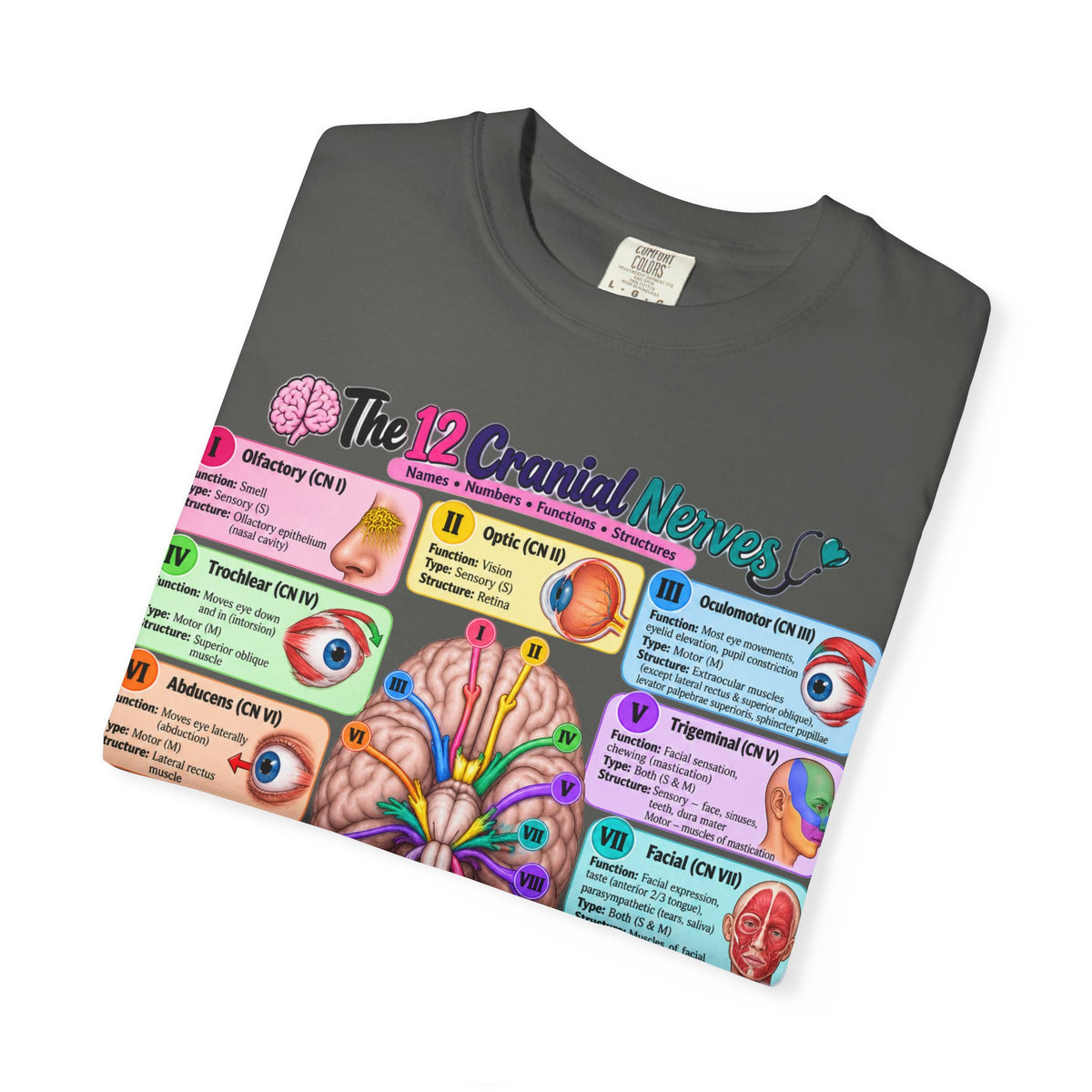 Unisex 12 Cranial Nerves