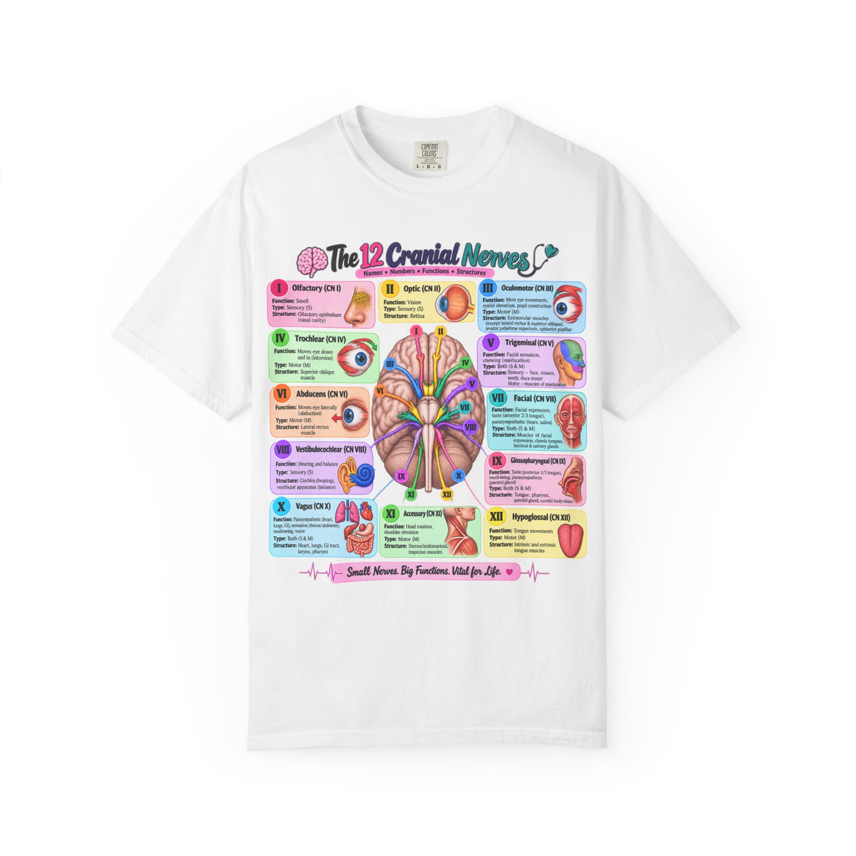 Unisex 12 Cranial Nerves