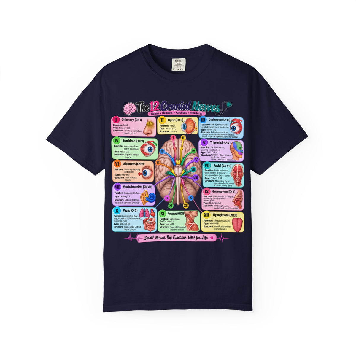 Unisex 12 Cranial Nerves