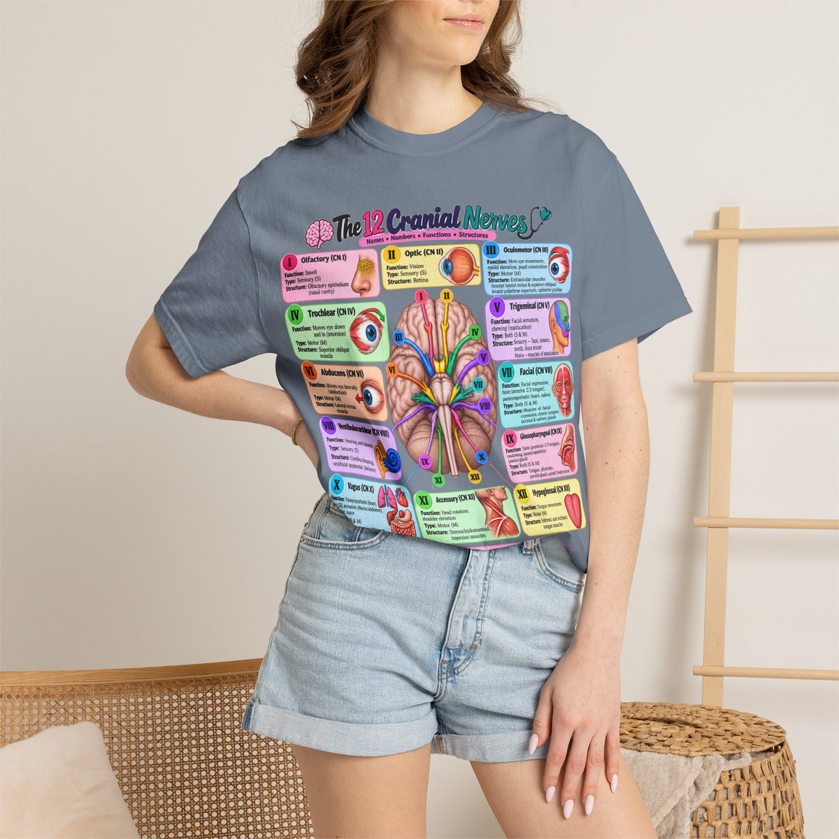 Unisex 12 Cranial Nerves